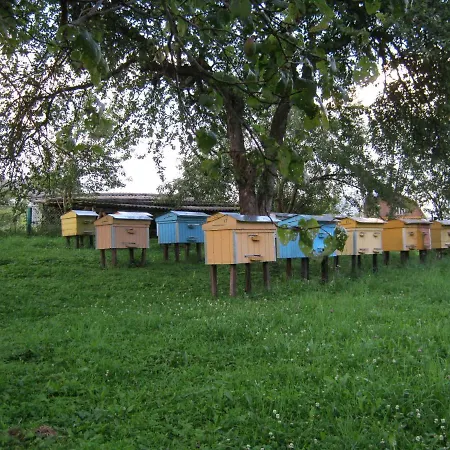 над потічком *