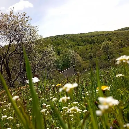 Holiday home над потічком *