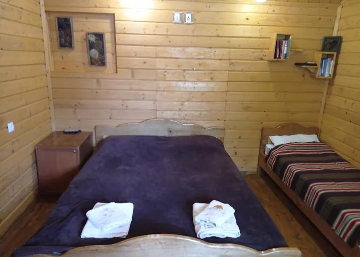над потічком Vakantiehuis *
