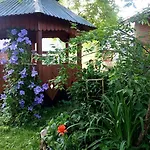 над потічком Casa de Férias *